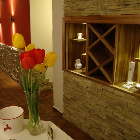 Hotel Au- Gut 3*