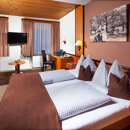 Hotel Au- Gut