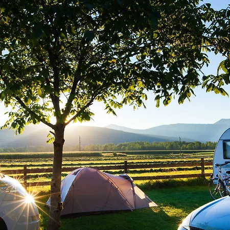 Au- Gut ハライン