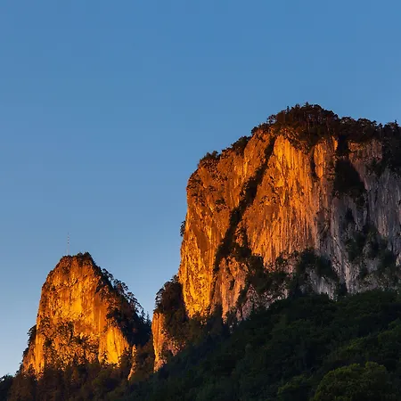 Au- Gut 3* ハライン