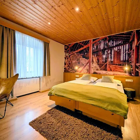 Hotel Au- Gut 3*