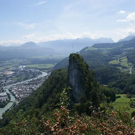 Au- Gut 3*