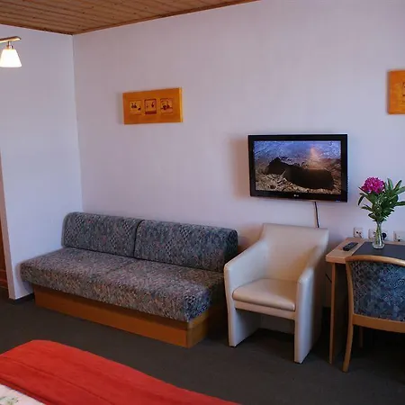 Au- Gut 3*