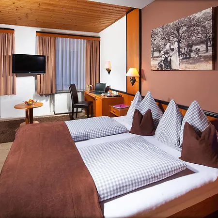 Hotel Au- Gut