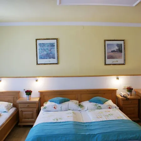 Hotel Au- Gut Hallein