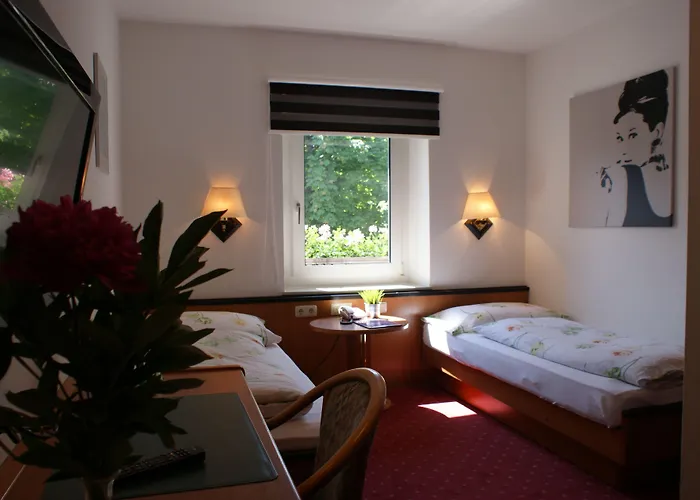 Au- Gut 3*