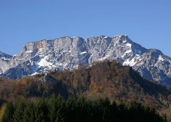 Au- Gut